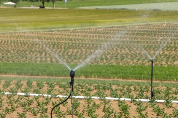 Smart Irrigation in Kenya: A Game-Changer for Smallholders