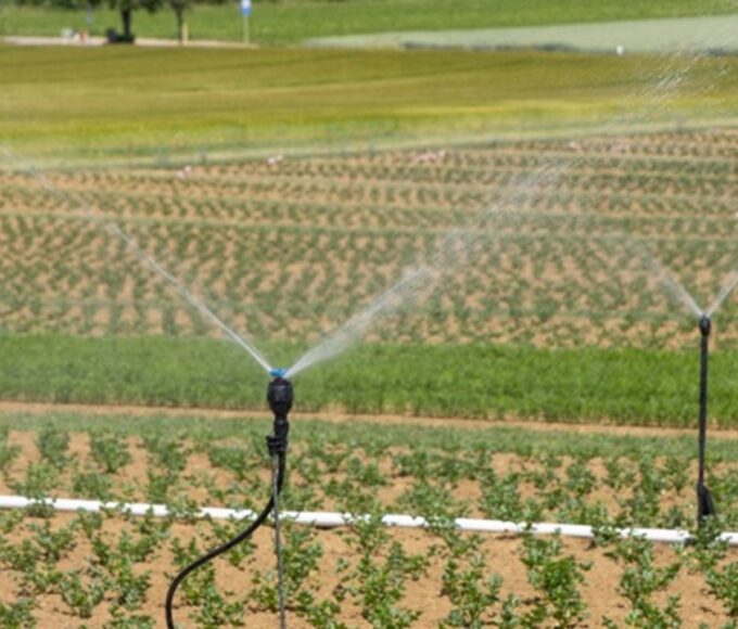 Smart Irrigation in Kenya: A Game-Changer for Smallholders