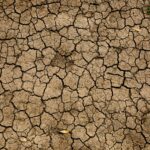 Nigeria’s Drought Mitigation Infrastructure in Northern States