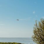 Lake Victoria Basin Projects: Multi-country Water Management