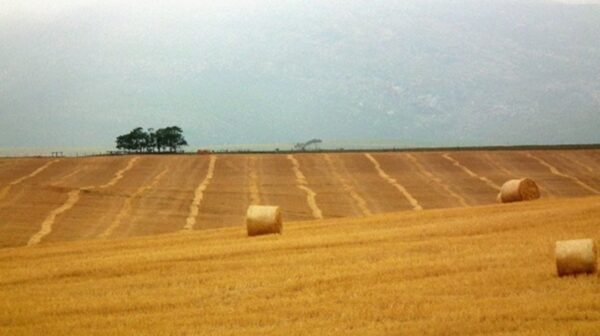 Sustainable Cold Chains in Zambia: Cutting Post-Harvest Losses