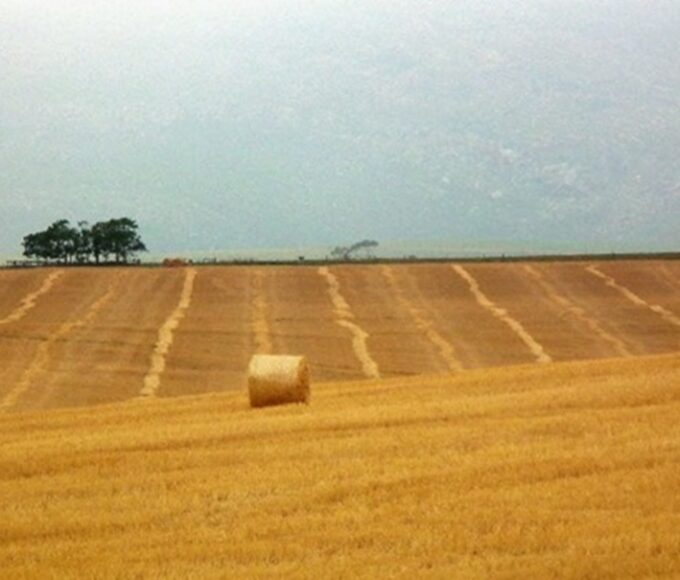 Sustainable Cold Chains in Zambia: Cutting Post-Harvest Losses