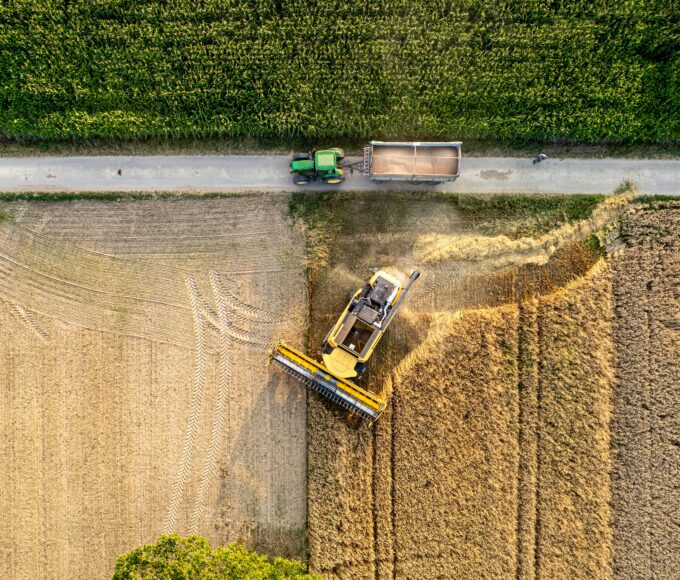 Digital Agriculture in Senegal: Connecting Farmers to Markets
