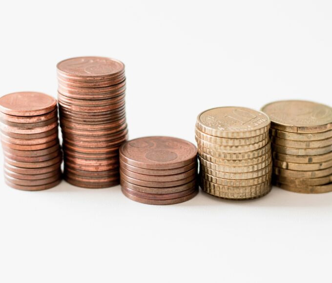 Financing Africa’s Renewable Boom: The Role of Public and Private Investors