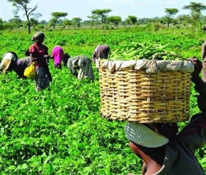 AFRICA’S MEGA AGRICULTURE PROJECTS SIGNAL A NEW ERA FOR FOOD SECURITY