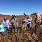 Cutting-Edge Environmental Conservation Projects and Their Champions