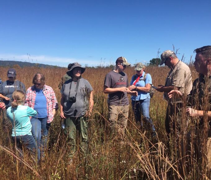 Cutting-Edge Environmental Conservation Projects and Their Champions